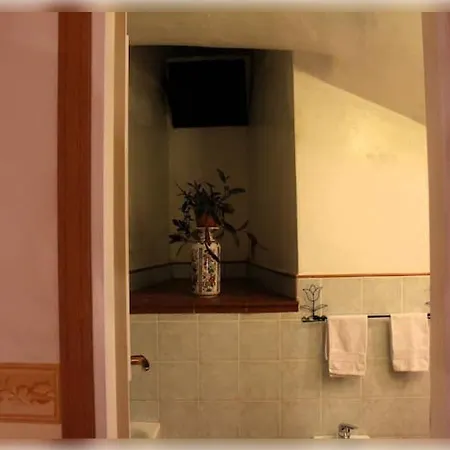 Pitti Palace - Original Florentine Apartment