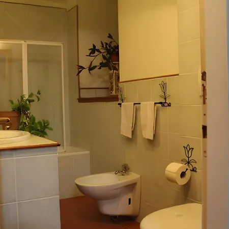 Apartment Pitti Palace - Original Florentine *